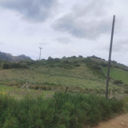 فيلا Localita Zarvenu سينيسكولا المظهر الخارجي الصورة
